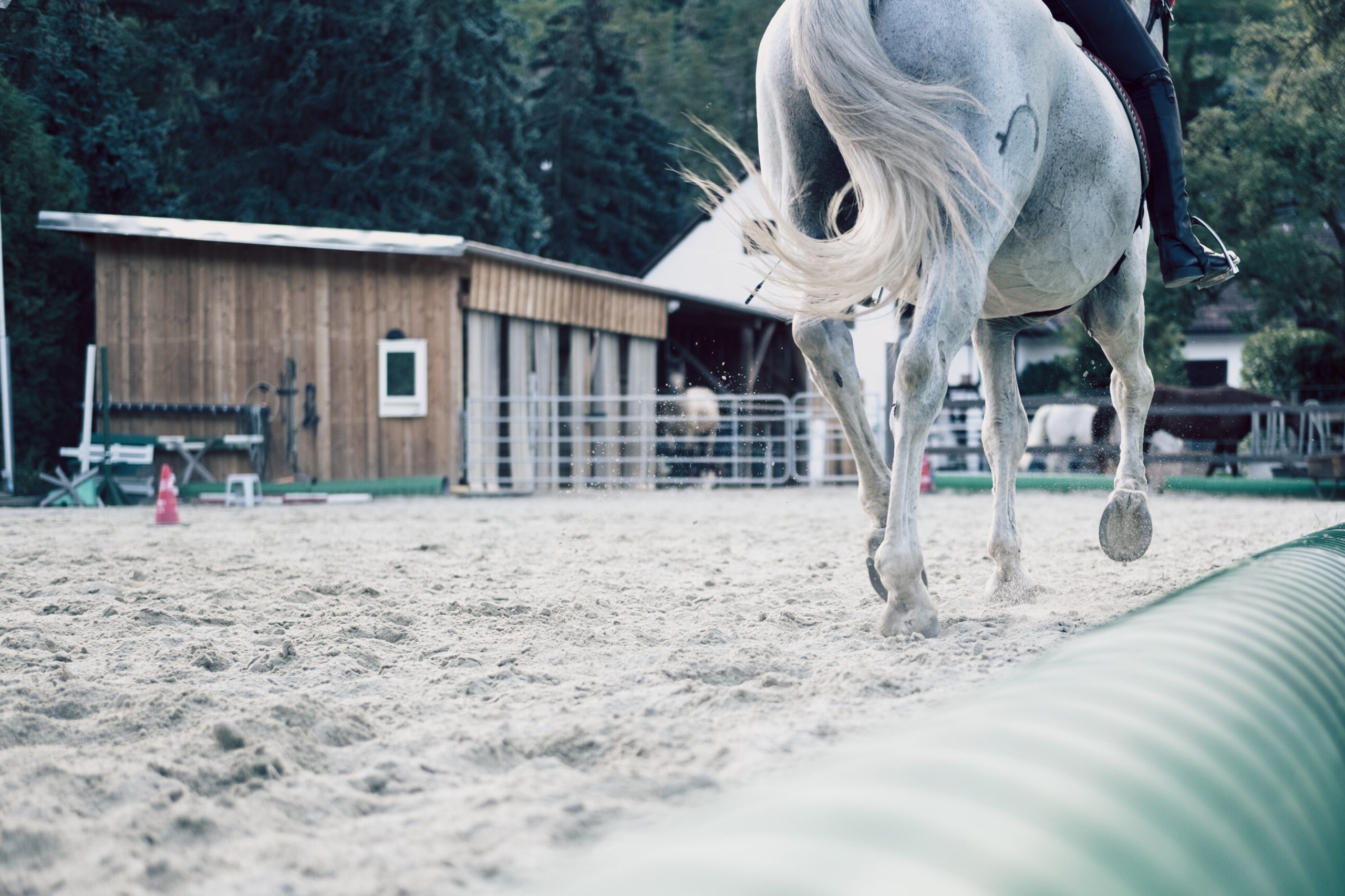Reitplatzberegnung