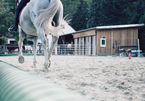 Reitplatzberegnung