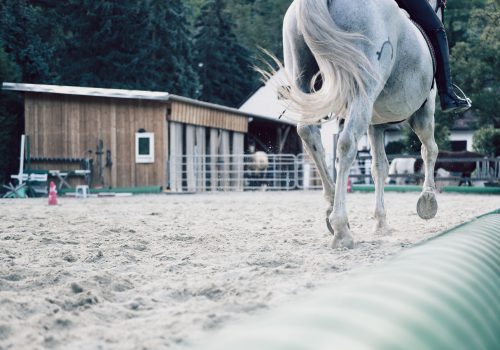 Reitplatzberegnung