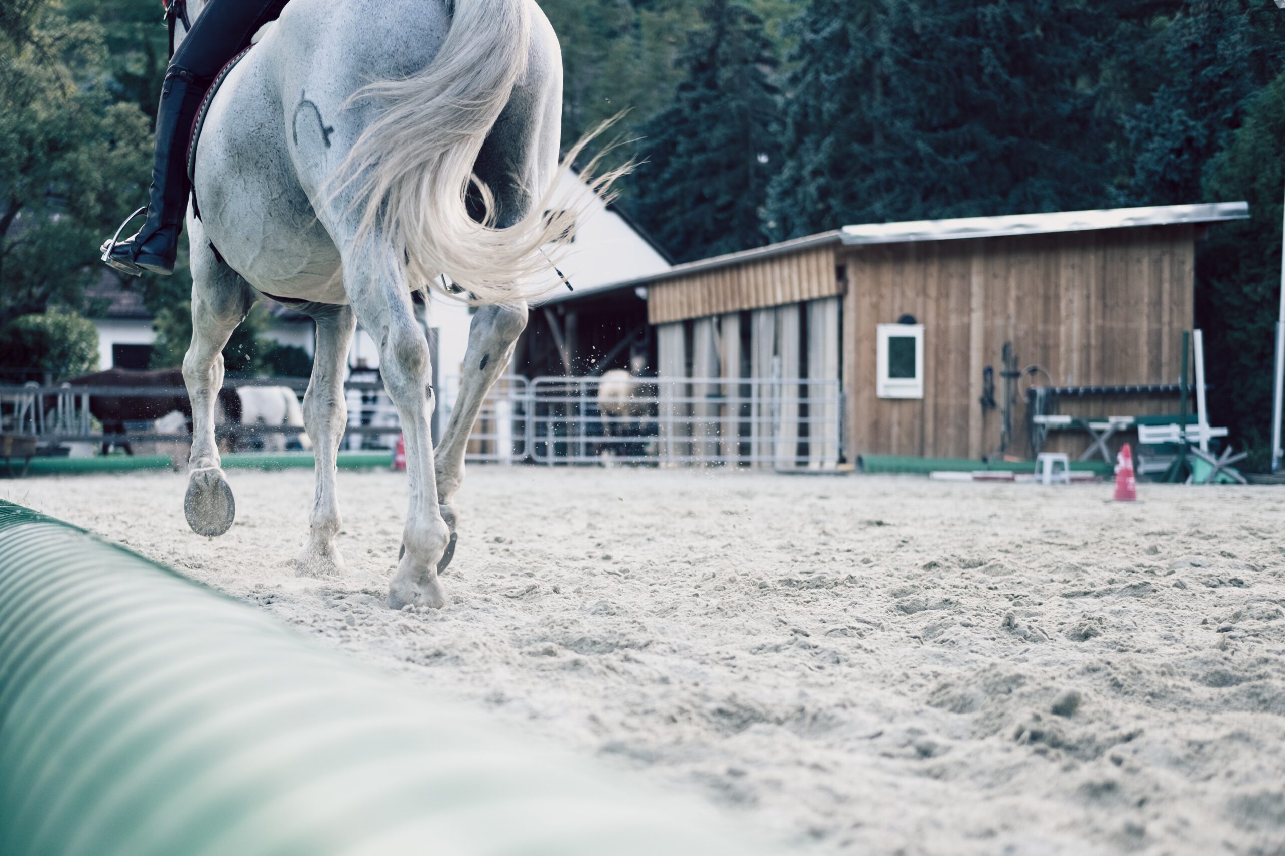 Reitplatzberegnung